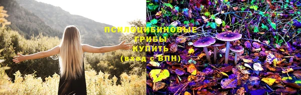 индика Алзамай